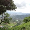 HISPÁNICOS