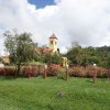 HISPÁNICOS