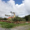 HISPÁNICOS