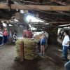 HISPÁNICOS